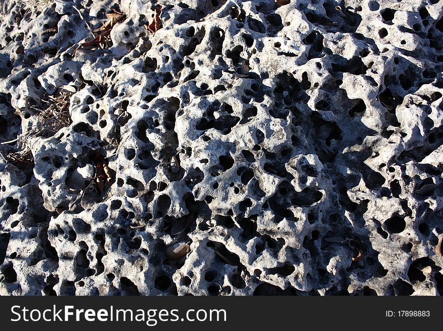 Sandstone rock with many holes