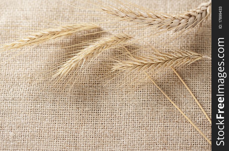 Wheat ears border on burlap background