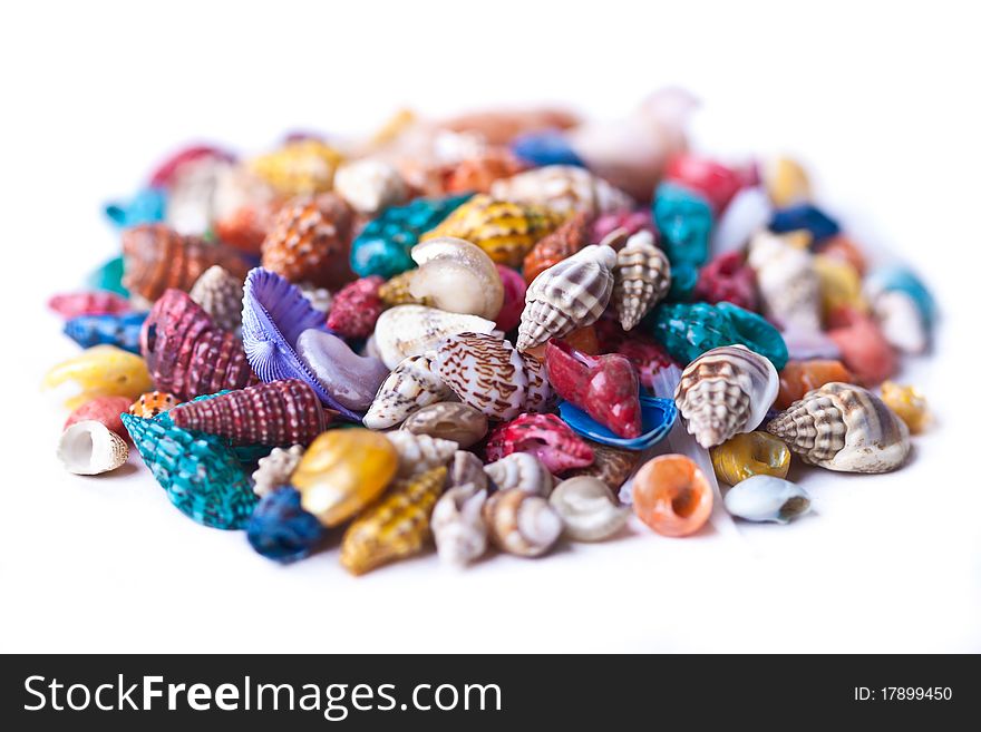 Pile of colorful seashells across white