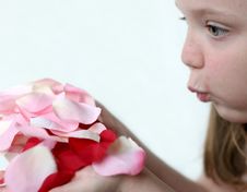Girl Blowing Rose Petals Stock Photo