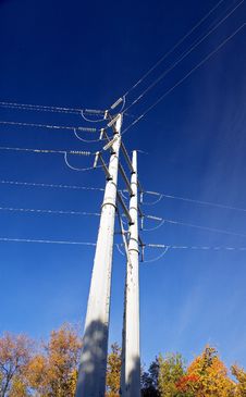 Power Lines Over Autumn Treetops Stock Image Power Lines Over Autumn Treetops Stock Image