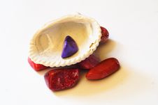 Seashell And Stones Royalty Free Stock Images