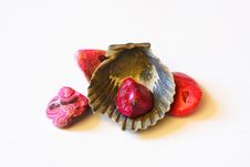 Seashell And Stones Royalty Free Stock Images