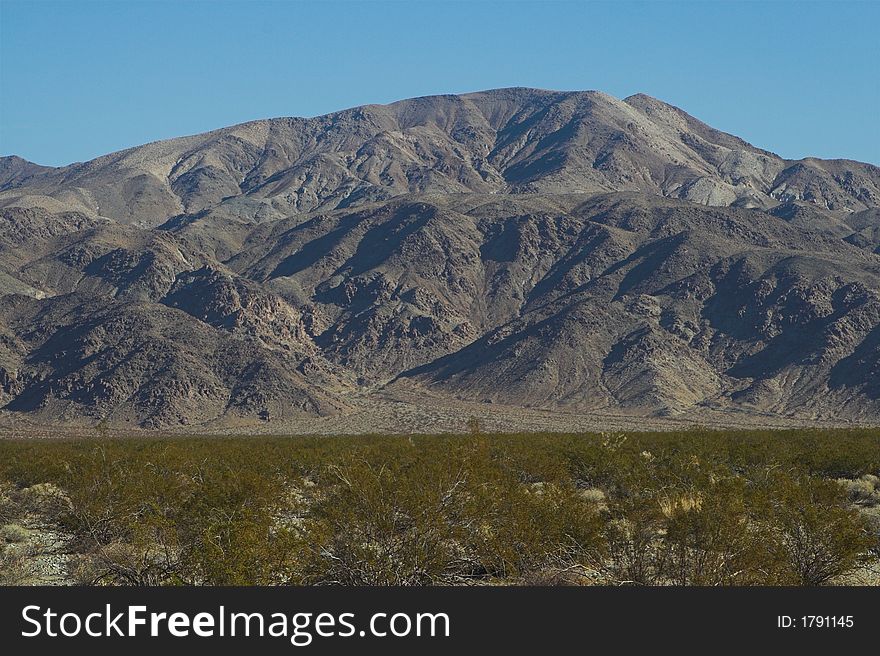 Mojave Desert in Joshua Tree National Park