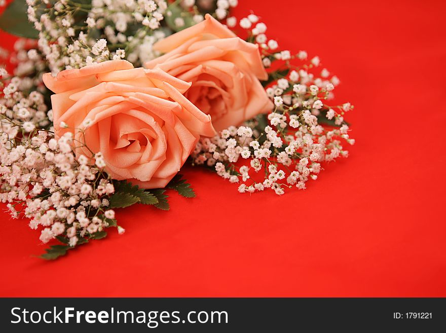 Valentine Rose Background