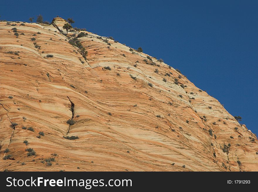 Mountain Top in Zion National Park