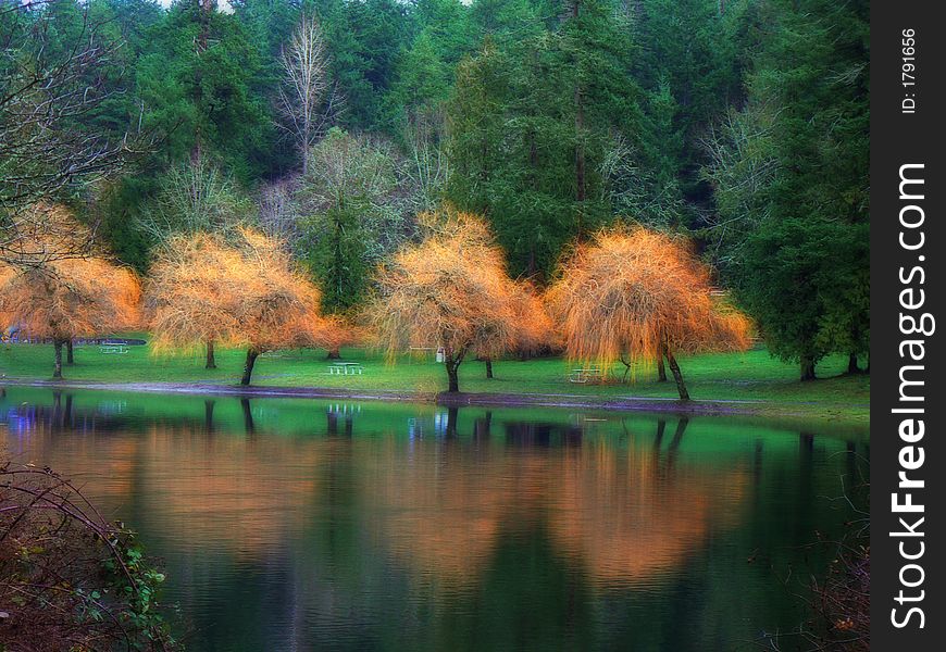 Richly colored trees reflecting in the lake. Richly colored trees reflecting in the lake