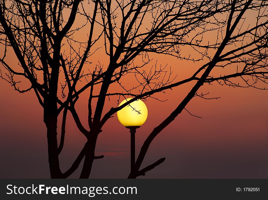 Street lantern and tree on a background of a sunset. Street lantern and tree on a background of a sunset