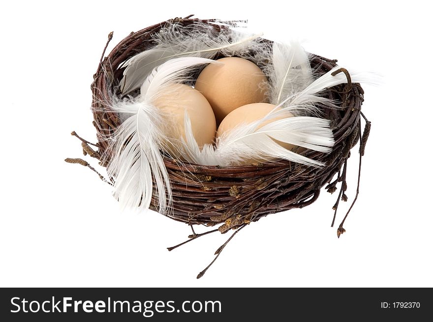 Bird nest with eggs and feathers. isolated on the white background
