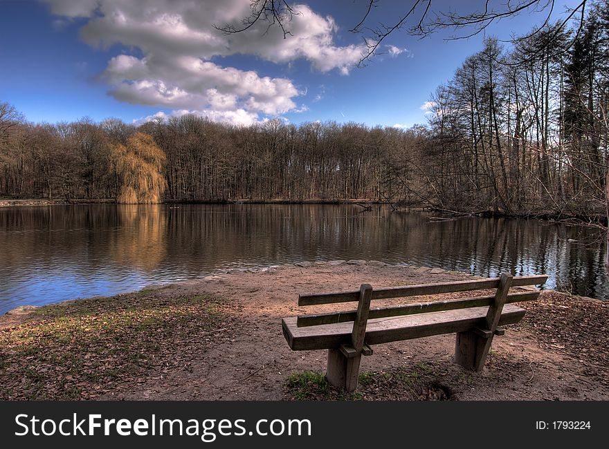 Forest And Park Bench