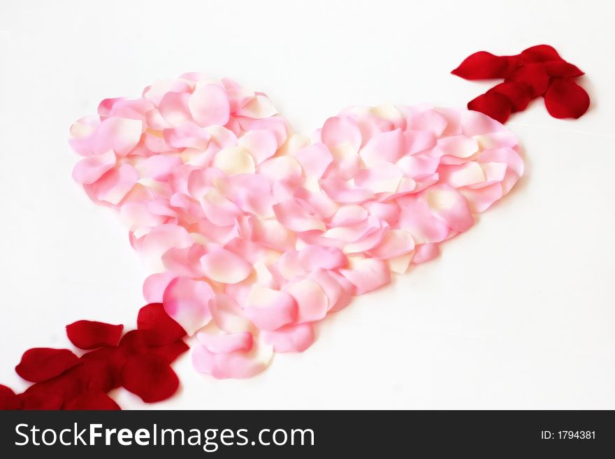 Pink, red, and white rose petals arranged in heart shape with a arrow through it over white. Pink, red, and white rose petals arranged in heart shape with a arrow through it over white