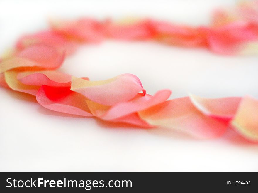 Pink, white and yellow rose petals arranged in a partial heart shape on a white background. Pink, white and yellow rose petals arranged in a partial heart shape on a white background