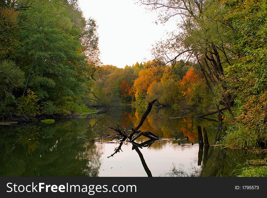 Autumn in russian forest, river