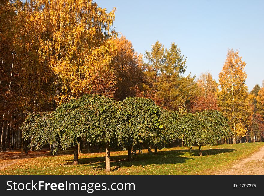 Autumn park in St.-Petersburg in solar clear day