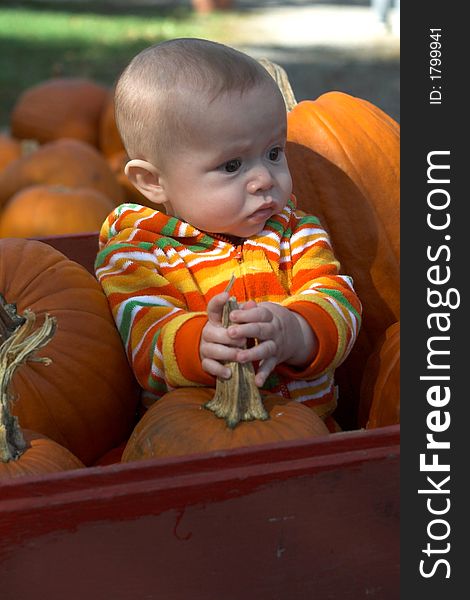 Image of baby sitting in a wagon surrounded by pumpkins. Image of baby sitting in a wagon surrounded by pumpkins