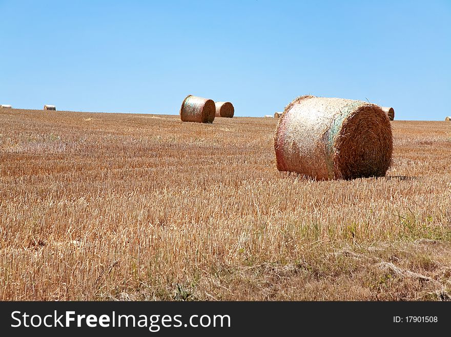Straw stack in field in summer