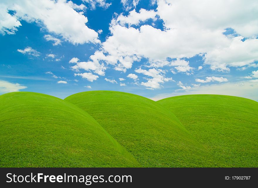Green field under the blue sky
