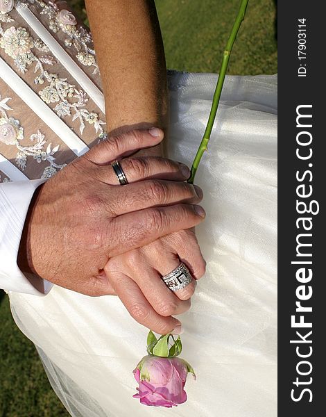 Loving couple holding hands with rings and a single pink rose against wedding dress. Loving couple holding hands with rings and a single pink rose against wedding dress
