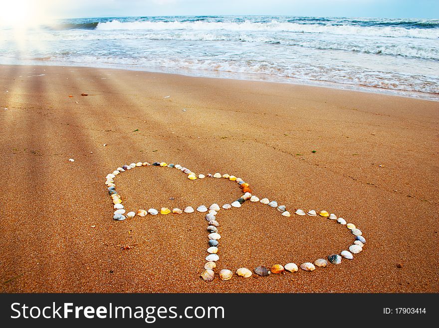 Seashell hearts on seaside and sunshine