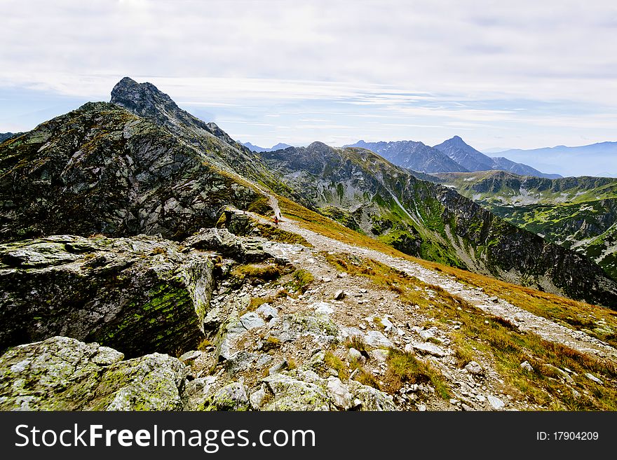 Summer mountain landscape in the Polish Tatry