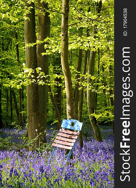 Blue chair found in the forest betwween green trees and blue flowers. Blue chair found in the forest betwween green trees and blue flowers