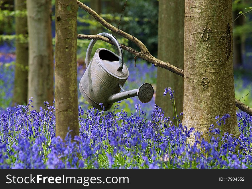 Watering can found in the forest betwween green trees and blue flowers. Watering can found in the forest betwween green trees and blue flowers