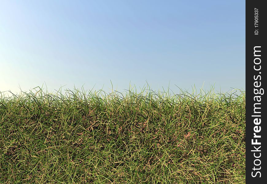 Dry grass and sky modelled in 3d. Dry grass and sky modelled in 3d