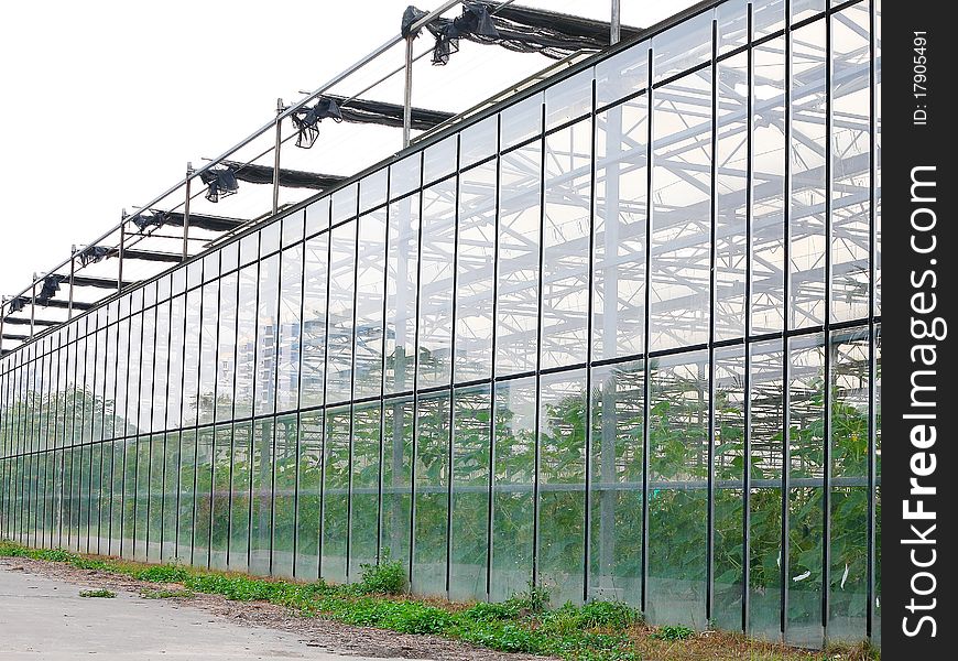 Exterior of a glass greenhouse,China. Exterior of a glass greenhouse,China.