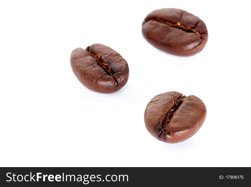 Three coffee beans isolated on white background