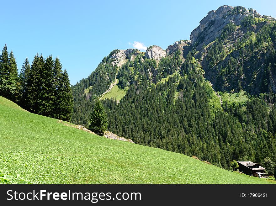Landscape with meadows and trees on the mountains in Switzerland. Landscape with meadows and trees on the mountains in Switzerland