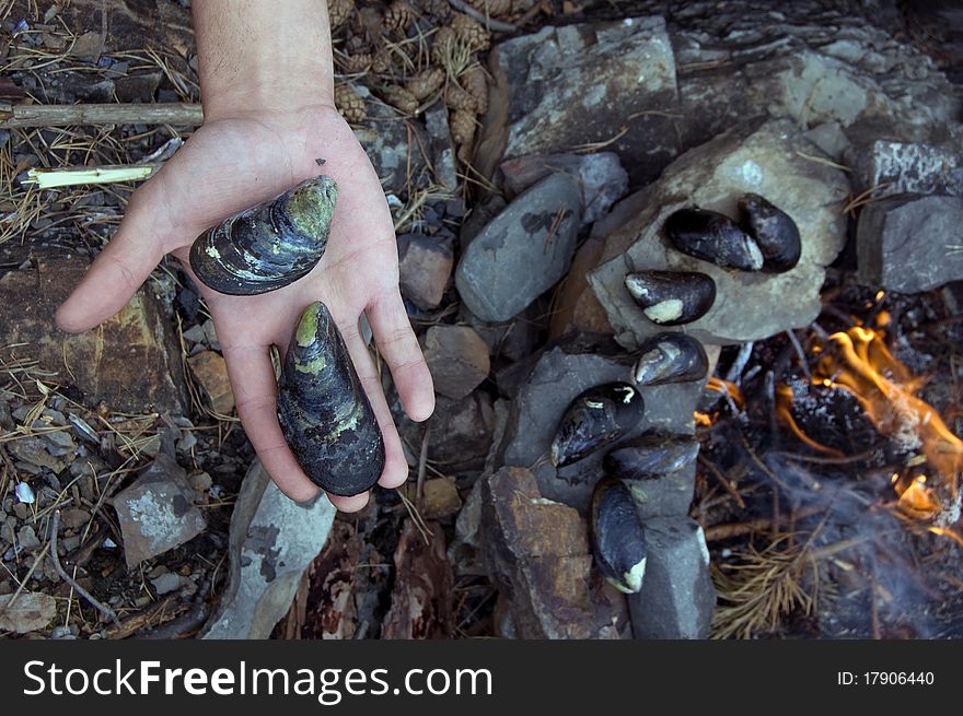Cooking mussels over an open fire