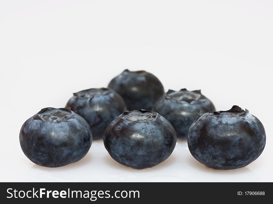 Blueberries In Rows