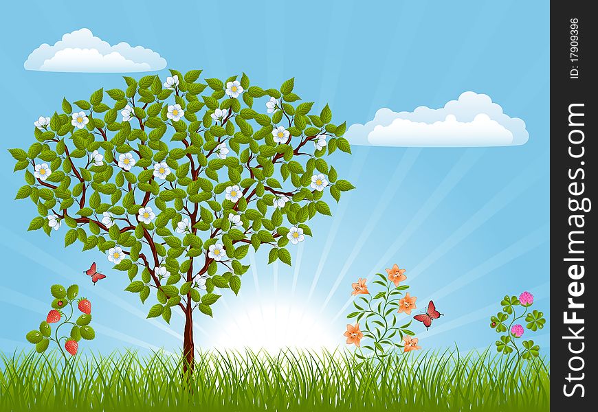 Nature landscape with a tree. Vector illustration.