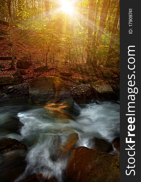 Mountain stream in the forest  during sunrise. Mountain stream in the forest  during sunrise