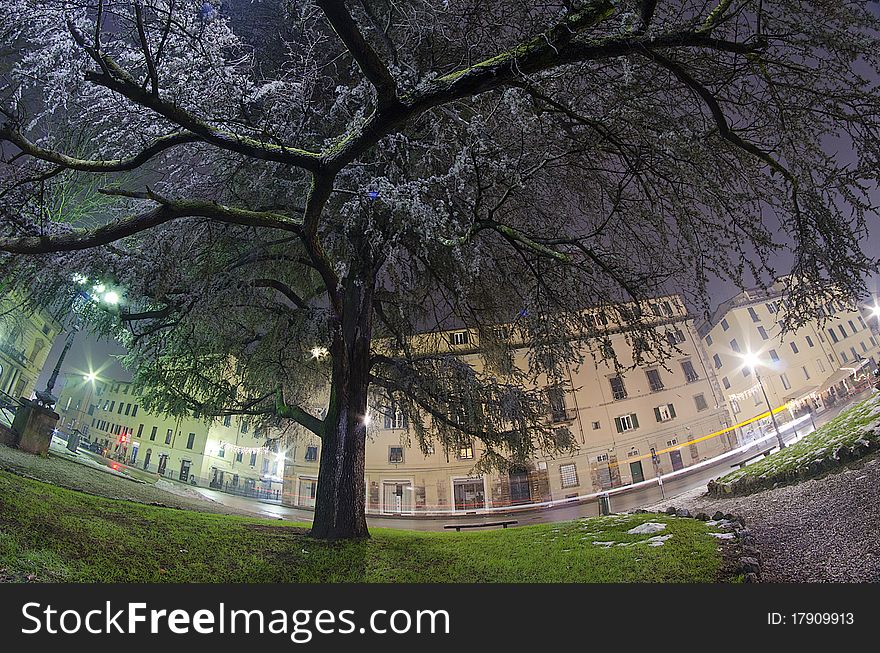 Architectural Detail Of Lucca At Night