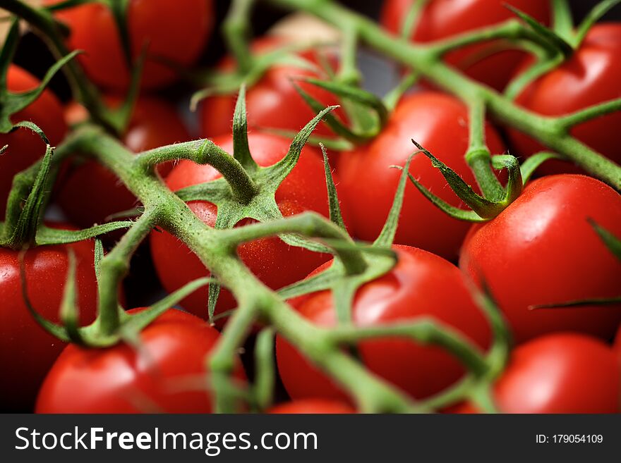 Cherry Tomatoes View