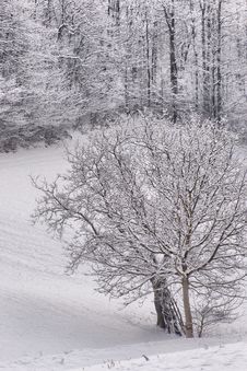 Winter Landscape Royalty Free Stock Photography Winter Landscape Royalty Free Stock Photography