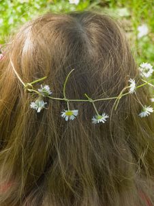 Feminine Hair With Daisy Flowers Wreath Stock Photos Feminine Hair With Daisy Flowers Wreath Stock Photos