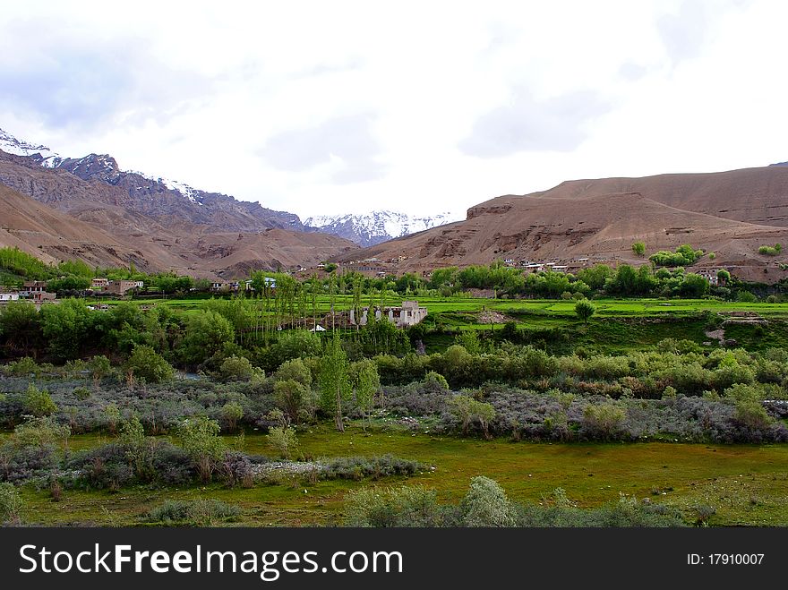Ladakh landscape