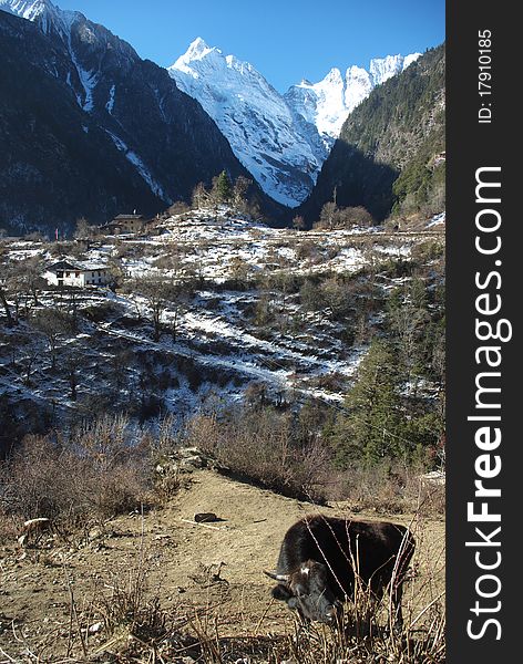 Yu Beng village in Yun Nan province, China. This village has a very long history and isolates itself from the outside world. It is at the foot of MeiLi jokul and it is the base camp of the expedition.