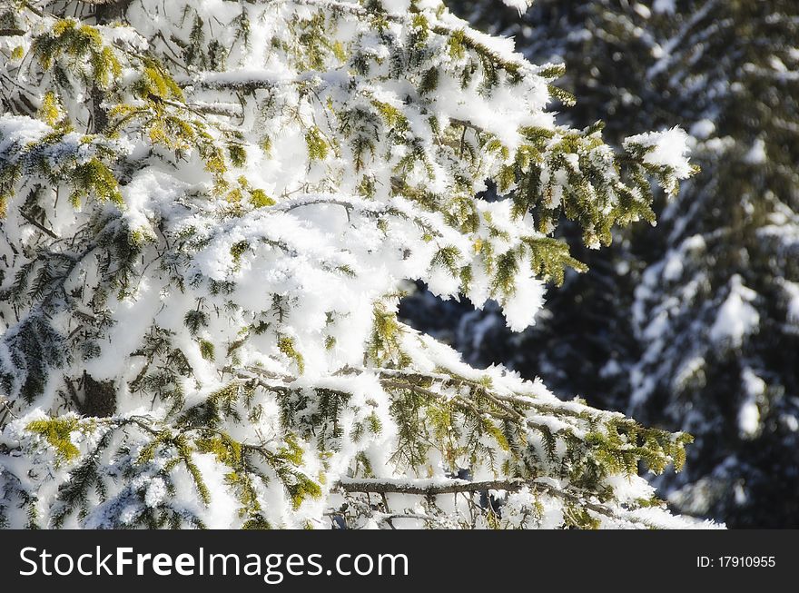 Snowy Landscape of Dolomites Mountains during Winter Season, Italy