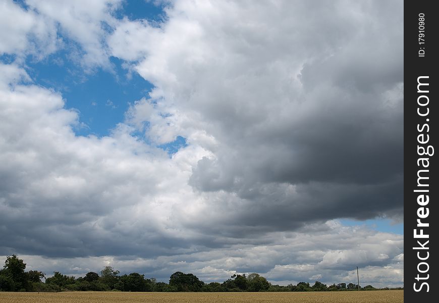 Wheat Field And Clouds