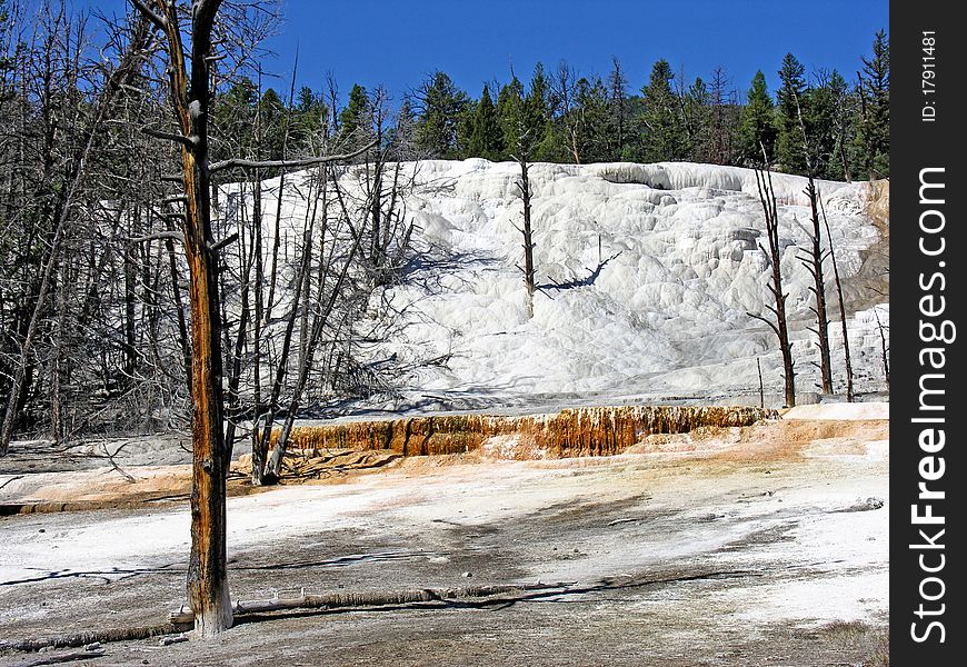 Orange Spring Mound in the Yellowstone National Park. Orange Spring Mound in the Yellowstone National Park