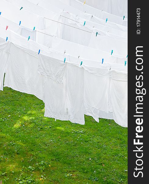 White Washes on the line with grass