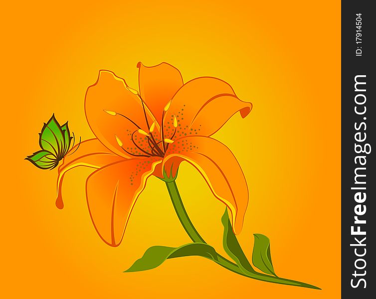 Beautiful Lily design element.beautiful illustration for a design