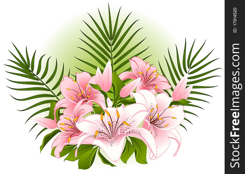Beautiful Lily bouquet.beautiful illustration for a design