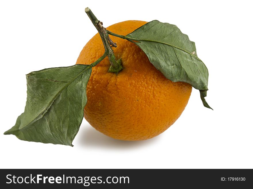 Fresh orange with leafes on white