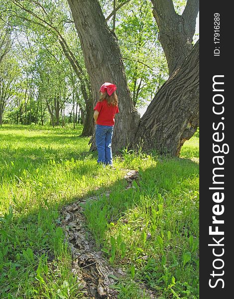 Girl standing by the big tree in the woods. Girl standing by the big tree in the woods