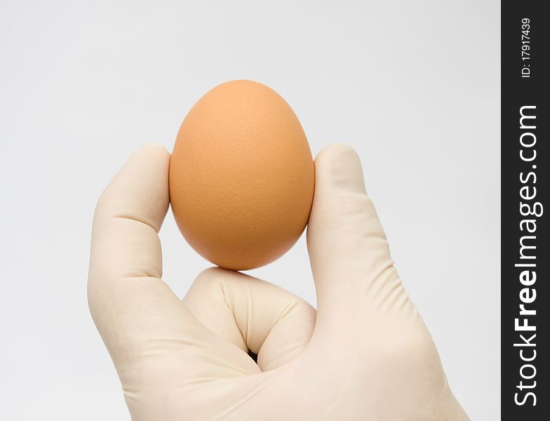 Human hand holding egg against a white background