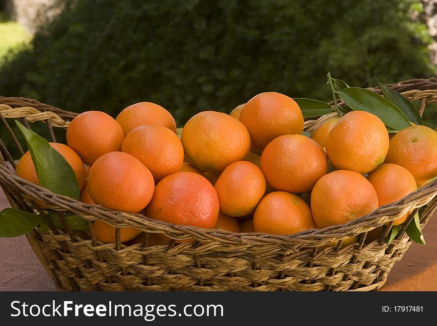 Basket containing fresh and delicious tangerines